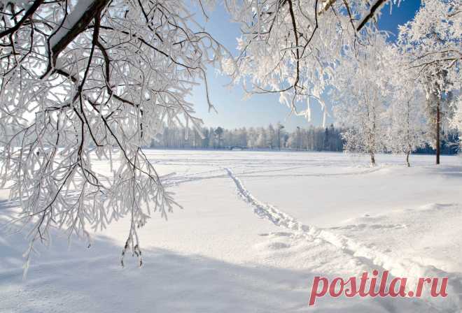КАКОЙ СЕГОДНЯ ПРАЗДНИК? 31 Января 2018 г. – Среда • День рождения русской водки153 года • Международный день ювелира • День рисования солнца на снегу • Профессиональный праздник Дедов Морозов • День святителей Афанасия и Кирилла, архиепископов Александрийских • День независимости - Науру50 лет • Национальный день горячего шоколада - США • Именины у Афанасия, Кирилла, Марии, Александра, Евгения, Дмитрия, Сергея, Ксении, Владимира, Михаила, Николая, Максима • Афанасьев день