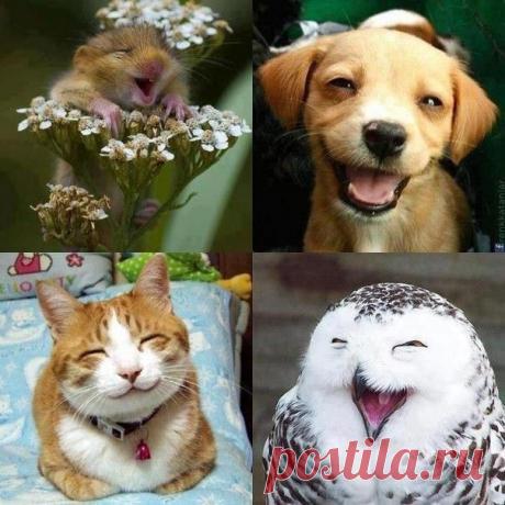 Улыбайся...!