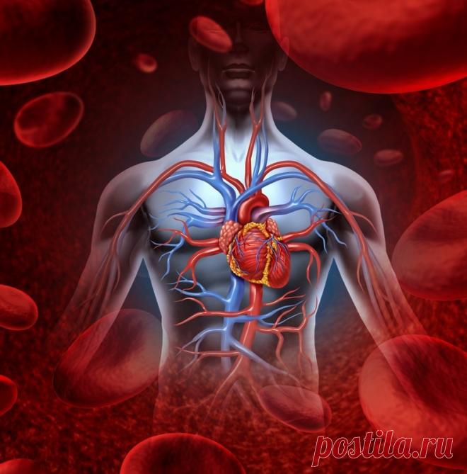 Как восполнить недостаток витаминов и минералов Какие ВИТАМИНЫ И МИКРОЭЛЕМЕНТЫ играют решающую роль в поддержании здоровья? Что необходимо детям для нормального роста и развития? Вот 8 витаминов и минералов, нехватку которых мы испытываем чаще всего. Как восполнить их дефицит в организме?