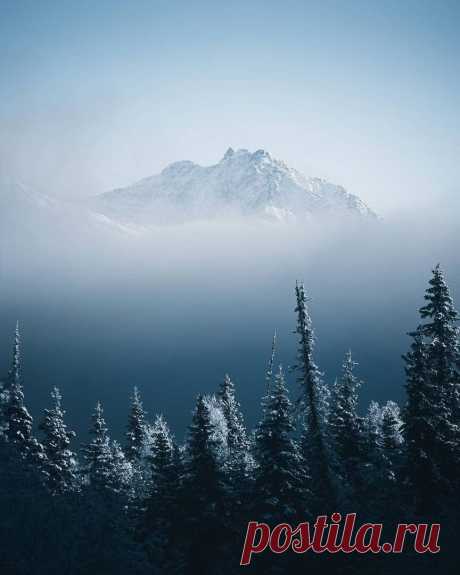 i (864×1080)
