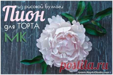 МК: как сделать пион для торта из рисовой бумаги | Blog Loravo: Кулинарные записки дизайнера
