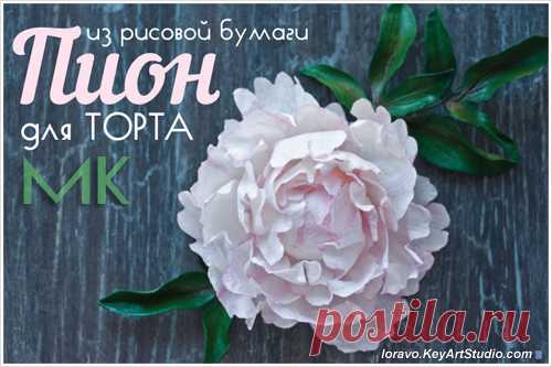 МК: как сделать пион для торта из рисовой бумаги | Blog Loravo: Кулинарные записки дизайнера