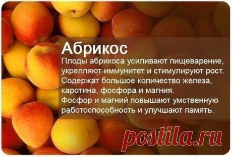 (23) Мой Мир@Mail.Ru
