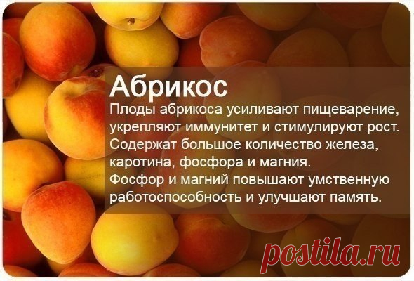 (23) Мой Мир@Mail.Ru