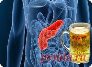 Профилактика заболеваний поджелудочной железы