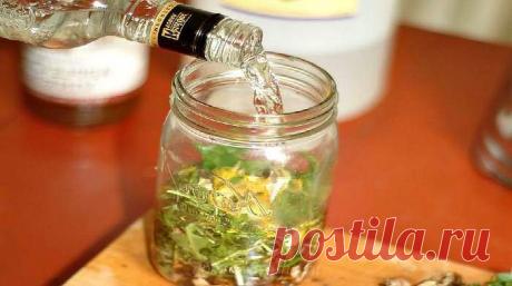 Настойка чистотела на водке: рецепты и применение | Народные знания от Кравченко Анатолия
