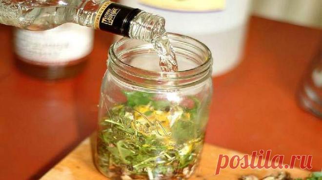 Настойка чистотела на водке: рецепты и применение | Народные знания от Кравченко Анатолия