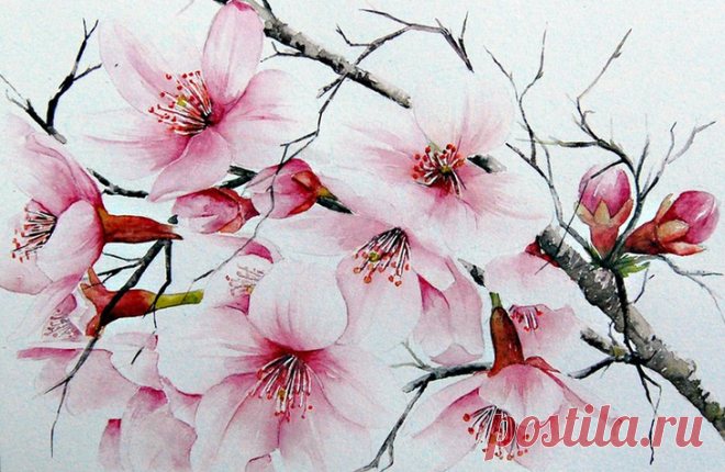 Французская художница - самоучка Мари-Клер Умо и её акварельные японские зарисовки