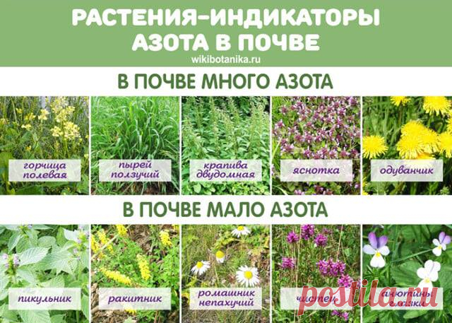(2) Facebook