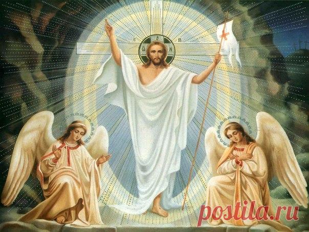 Дорогие братья и сестры, досточтимые отцы!

Сердечно поздравляем Вас с Светлой Христовой Пасхой!
Желаем вам, вашим коллегам, родным и близким крепкого здравия, долгоденствия, помощи Божией во всех благих начинаниях!
Благословения Божия, мира и счастья! 
Христос Воскресе! 
Воистину Воскресе!