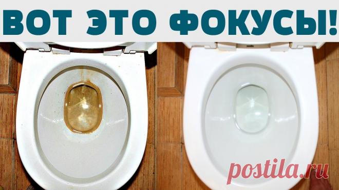 Как быстро удалить мочевой камень в унитазе Миллион советов на все случаи жизни!