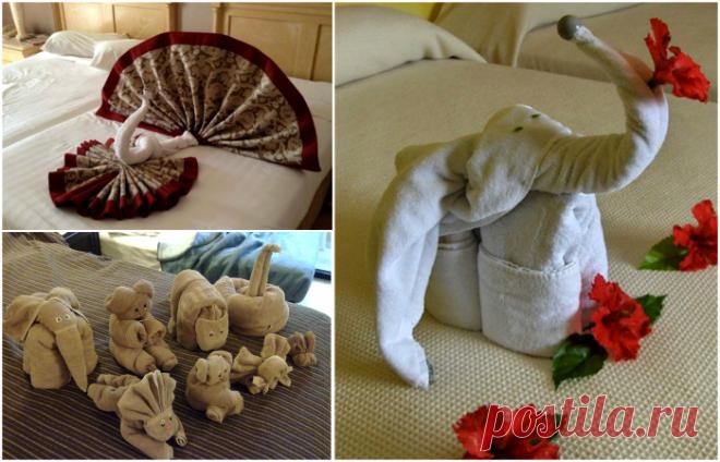16 забавных оригами из полотенец, которыми изобретательные горничные радуют постояльцев отелей