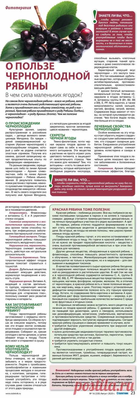 О пользе черноплодной и красной рябины