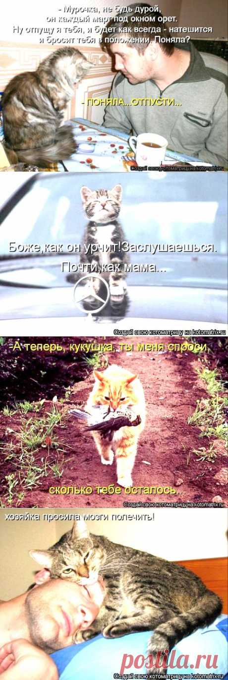 ВОТ ТЕБЕ ЗА ШАРИКА... | ДОСТОЙНАЯ ЖИЗНЬ НА ПЕНСИИ