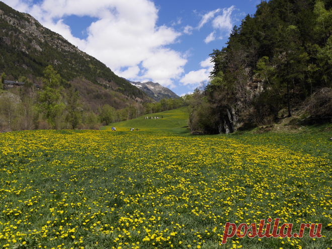 Однодневные экскурсии и маршруты: Андорра