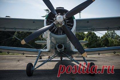 В Британии связали крушение Ан-2 в НАО с антироссийскими санкциями. Недавние авиапроисшествия с советскими самолетами Ан-2 и Ан-26 в России связаны с западными санкциями. Об этом сообщает Daily Mail. Автор статьи считает, что эти происшествия вызваны тем обстоятельством, что Запад лишил российских авиаперевозчиков возможности закупать детали самолетов.