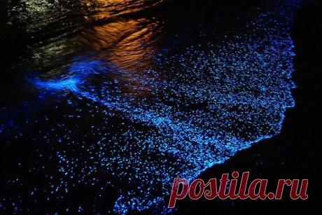 светящаяся красота