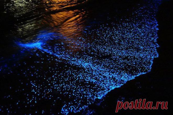 светящаяся красота