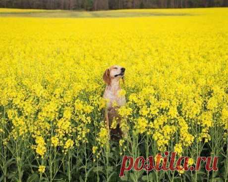 Путешествуй