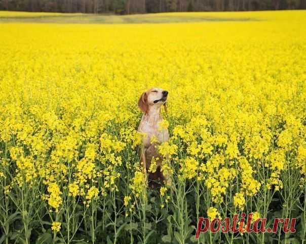 Путешествуй