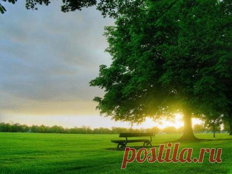 Фото группы | Фотографии ВСЕ ДЛЯ ДУШИ! | 10507 фото | Группы Мой Мир