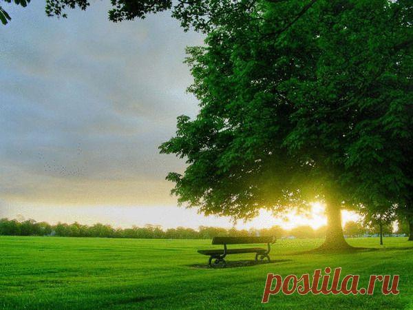 Фото группы | Фотографии ВСЕ ДЛЯ ДУШИ! | 10507 фото | Группы Мой Мир