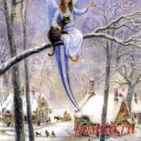 Кот и ангел - МирТесен