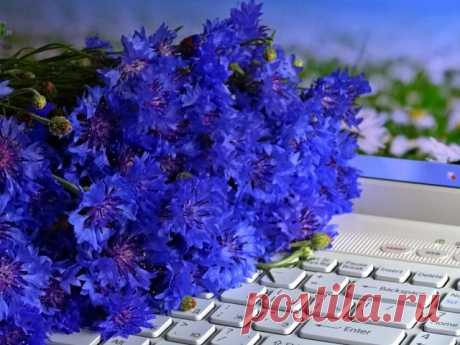 Одноклассники