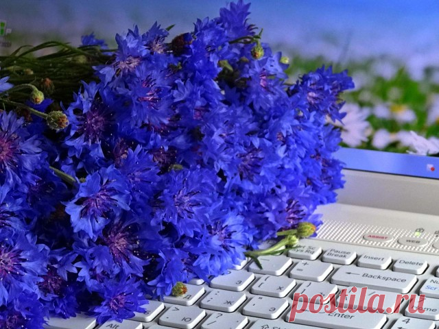 Одноклассники