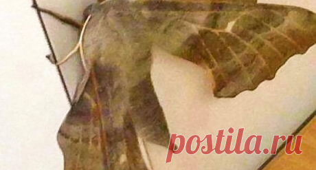 16 фото из Австралии, доказывающих, что любить эту страну лучше на расстоянии