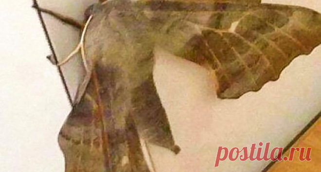 16 фото из Австралии, доказывающих, что любить эту страну лучше на расстоянии