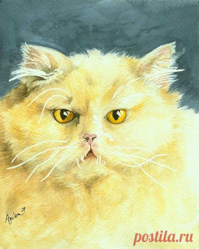 Yellow Persian Cat by Dottie Dracos Yellow Persian Cat Painting by Dottie Dracos