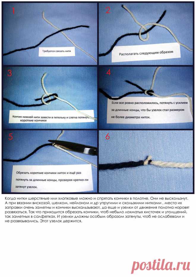 5102208.jpg (1653×2339)