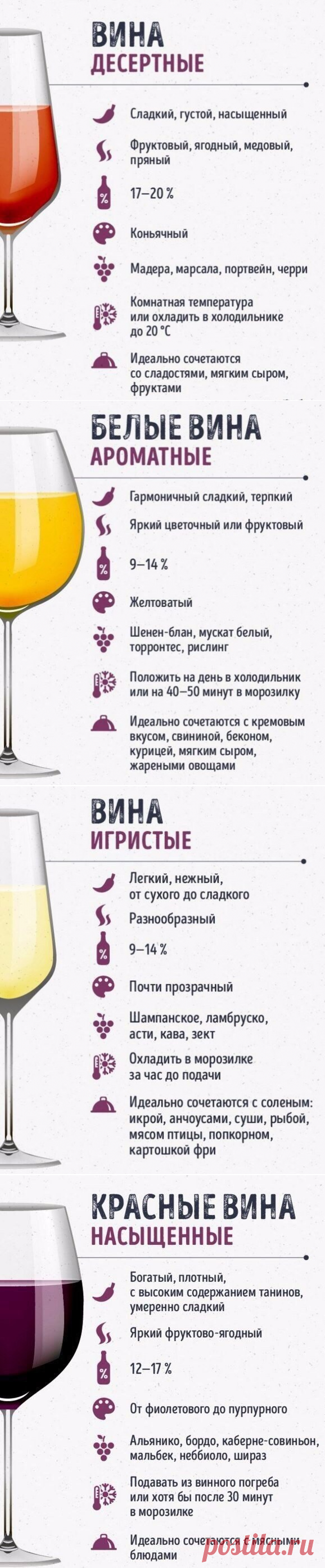 Шпаргалки для тех, кто любит вино