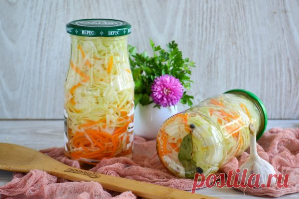 Капуста 