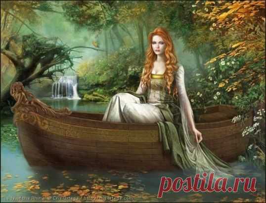 (46) Одноклассники