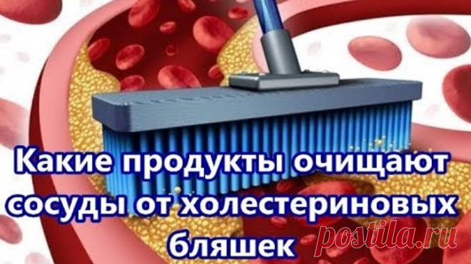Какие продукты очищают сосуды от холестериновых бляшек