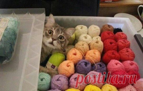 Что значит ты купил это не для меня?