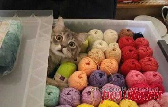 Что значит ты купил это не для меня?