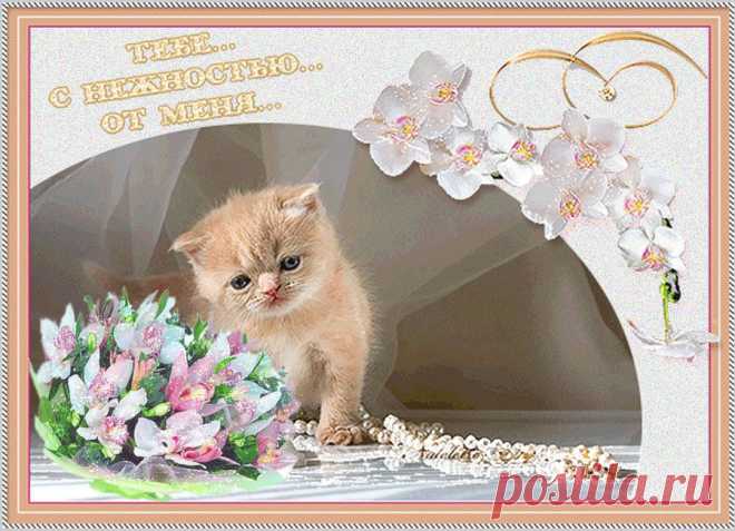 Музыкальная Открытка!