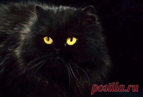 Лучшие фото