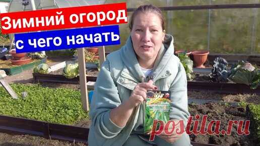 Зимний квартирный огород на подоконнике. С чего начать, какие семена посадить без заморочек | Садовый мир | Дзен