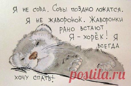 Фотографии на стене сообщества | 32 885 фотографий