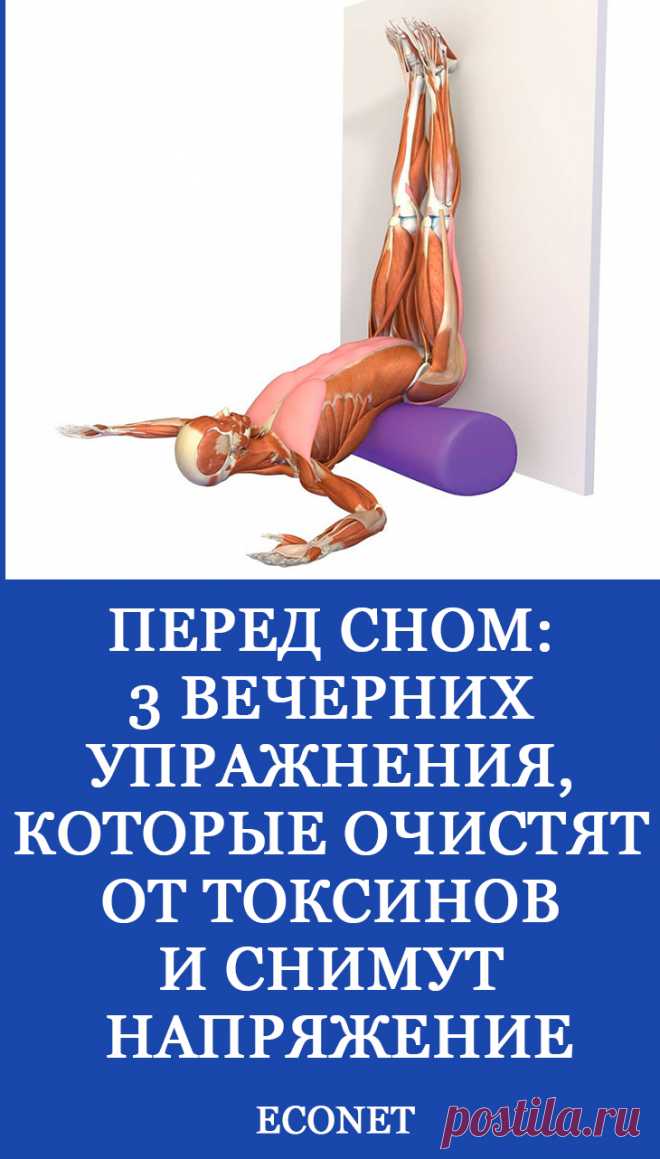 Перед сном: 3 вечерних упражнения, которые очистят от токсинов и снимут напряжение

Частыми причинами, мешающими вовремя заснуть, являются зажатость и скованность разных мышечных групп, либо беспокоят тревожные, навязчивые мысли. В тех и других случаях помогут простые техники, которые можно выполнить перед сном.