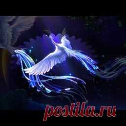 &hearts; &hearts; &hearts;TATIANA&hearts; &hearts; &hearts;: Пишу всем.Моя основная анкета здесь.Мои фото используют другие.Так что если что то не так претензий мне не предъявляйте.