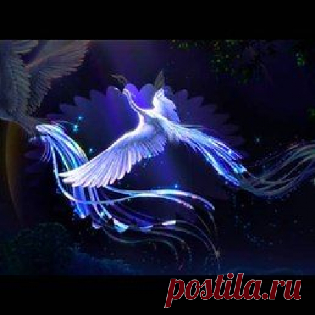 &amp;hearts; &amp;hearts; &amp;hearts;TATIANA&amp;hearts; &amp;hearts; &amp;hearts;: Пишу всем.Моя основная анкета здесь.Мои фото используют другие.Так что если что то не так претензий мне не предъявляйте.