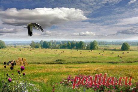 Одноклассники