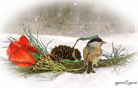 ღஐ Надежда ஐღ ♛ - Россия на Мой Мир@Mail.ru
