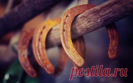 Поучительная история - rastimul.com.ua