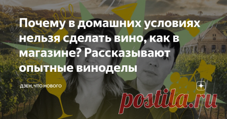 Почему в домашних условиях нельзя сделать вино, как в магазине? Рассказывают опытные виноделы Думаете, что все российское вино — это какая-то кислая бормотуха а-ля «Портвейн 777» и со времен СССР у нас нет и не может быть хорошего вина?  Дмитрий, винный эксперт и автор дзен-канала «Цитрон Цюрупинский», и винодел Марина Бюрнье рассказали, может ли российское вино конкурировать с иностранным и как устроена винная индустрия в России. Как иностранцы помогли российскому винодел...